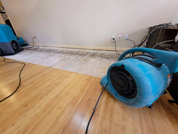 Professional Flood Damage Cleanup technician working in Worthington, MA